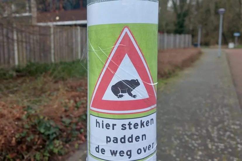 overstekende padden paddenredders zuiderzeewijk fb