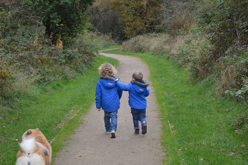 peuters dan gissane via pixabay