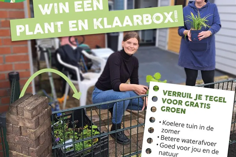 plant en klaarbox gem lelystad