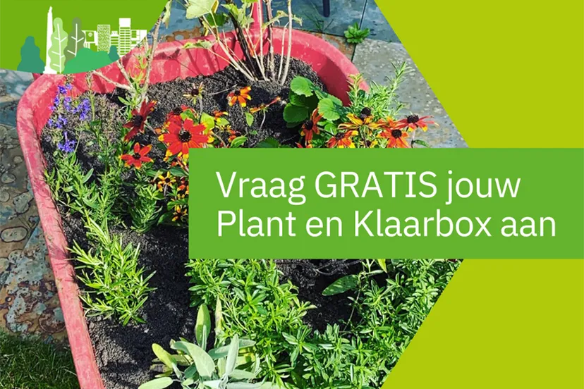 plant en klaarbox