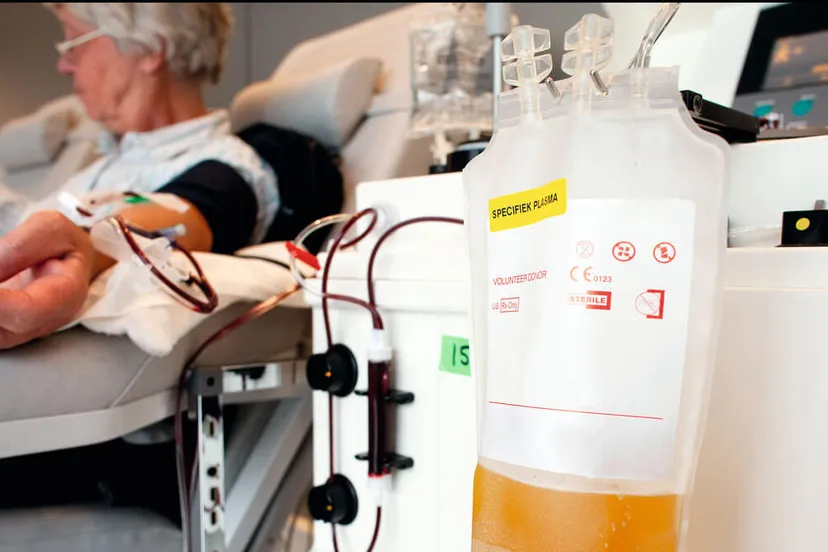 plasma donor