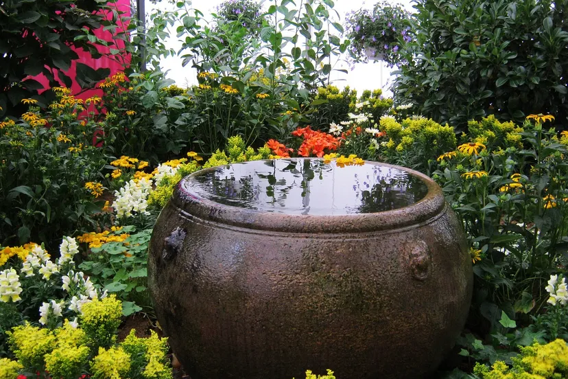 regenton gaby stein via pixabay