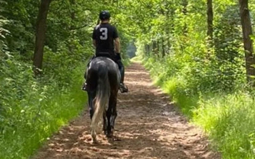 ruiterpaden en routes