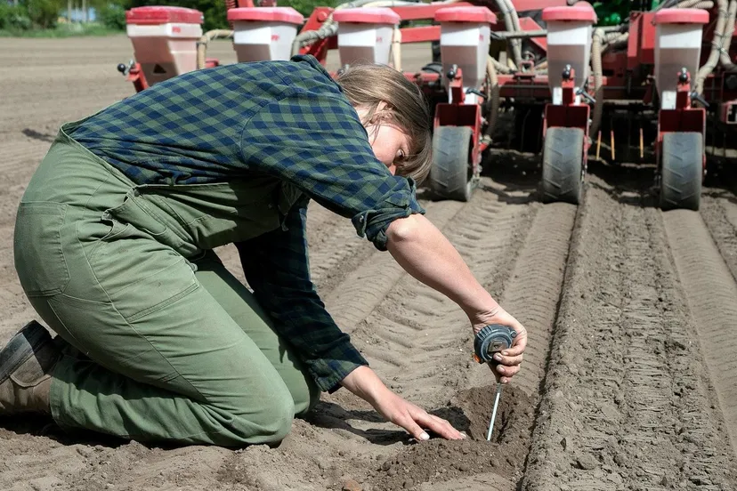 sojaboontjes prov flevoland