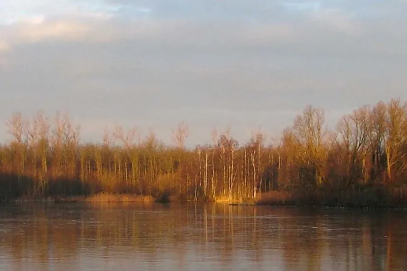 stadsbossen lelystad staatsbosbeheer