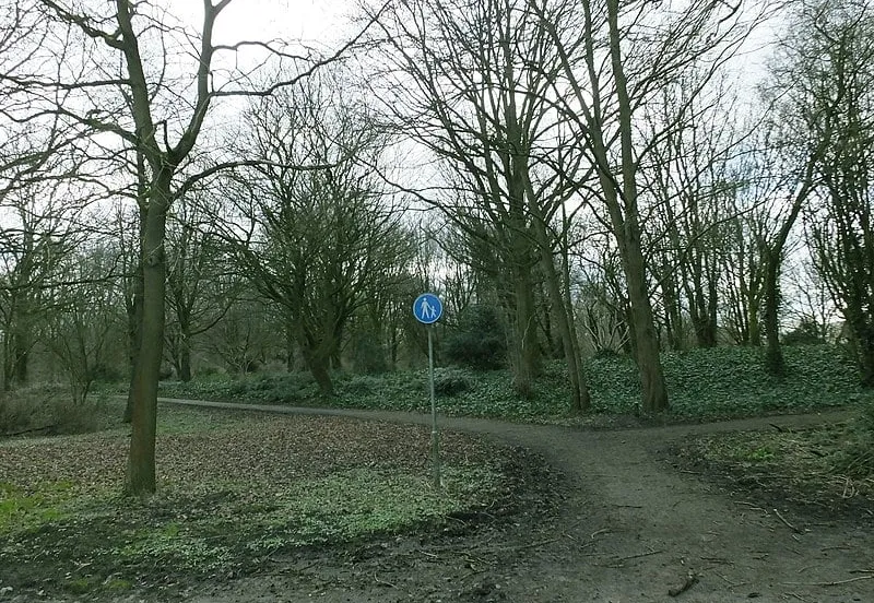 stadspark lelystad winter wikimedia commons panek