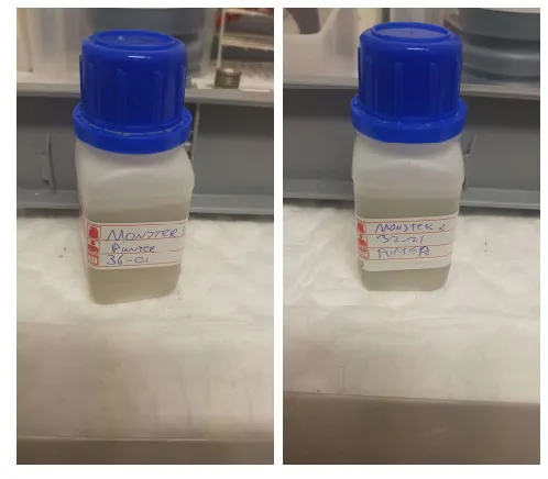 testmonsters riool lelystad