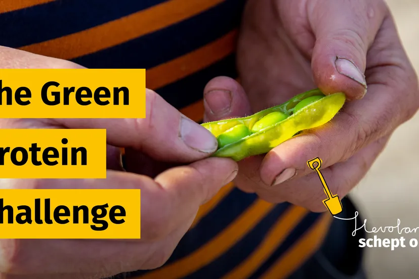 the green proteine challenge