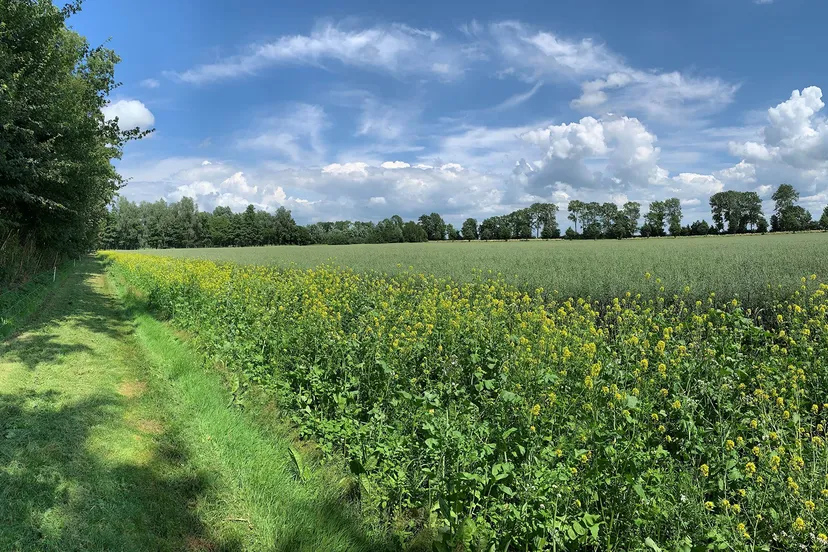 transitie landelijk gebied