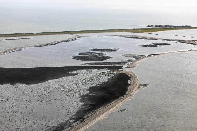 trintelzand versterking houtribdijk