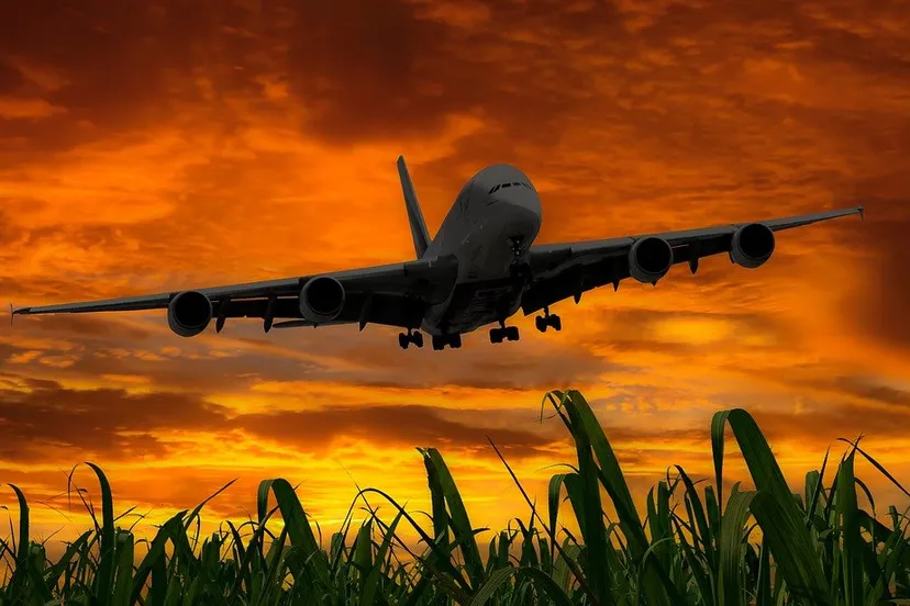 vliegend op vakantie