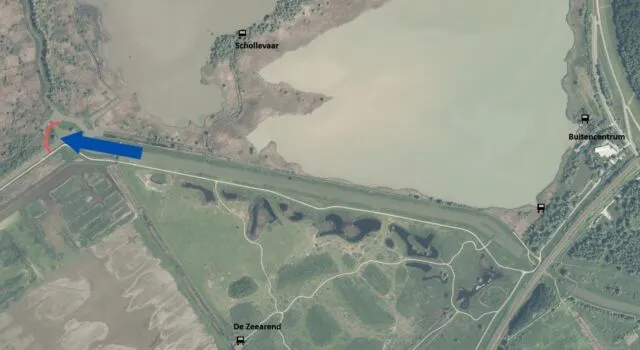 vlonderpad locatie 1 boswachtersblog oostvaardersplassen