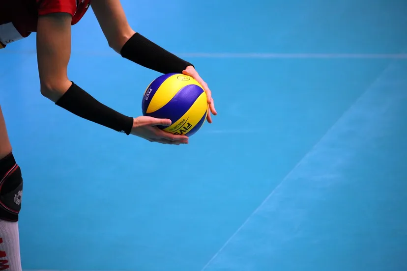 volleyball tania van den berghen via pixabay