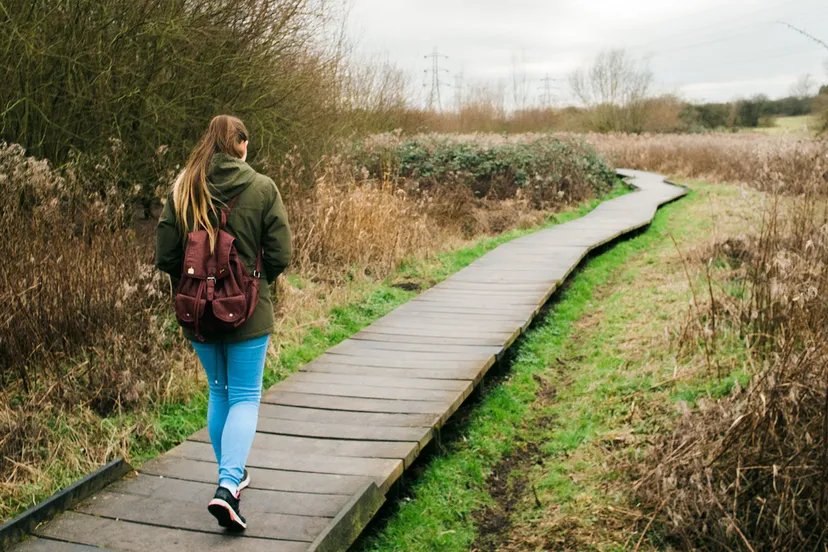 wandelen oostvaardersplassen prov flevoland