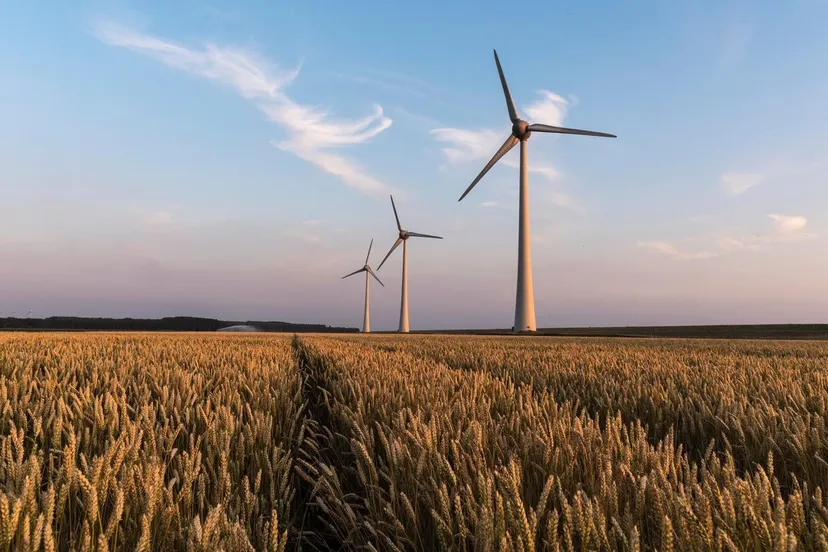 windmolens zonsondergang
