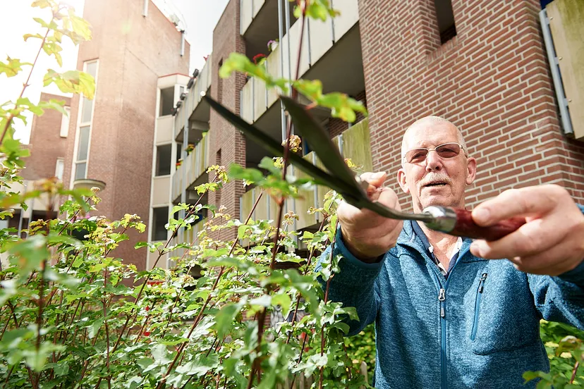 woonwensenonderzoek senioren