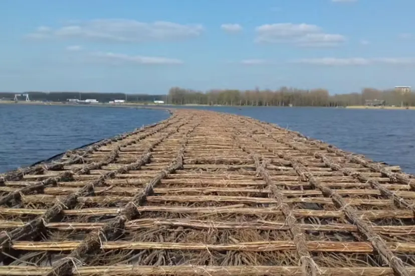 aanleg rietoever wiepen knopen 1 het flevo landschap