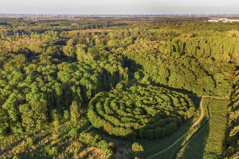 boswachterspad museumbos labyrint staatsbosbeheer