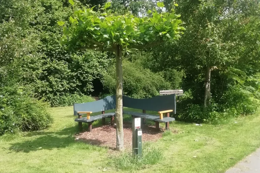 dakplataan bultpark 050524 1 kna