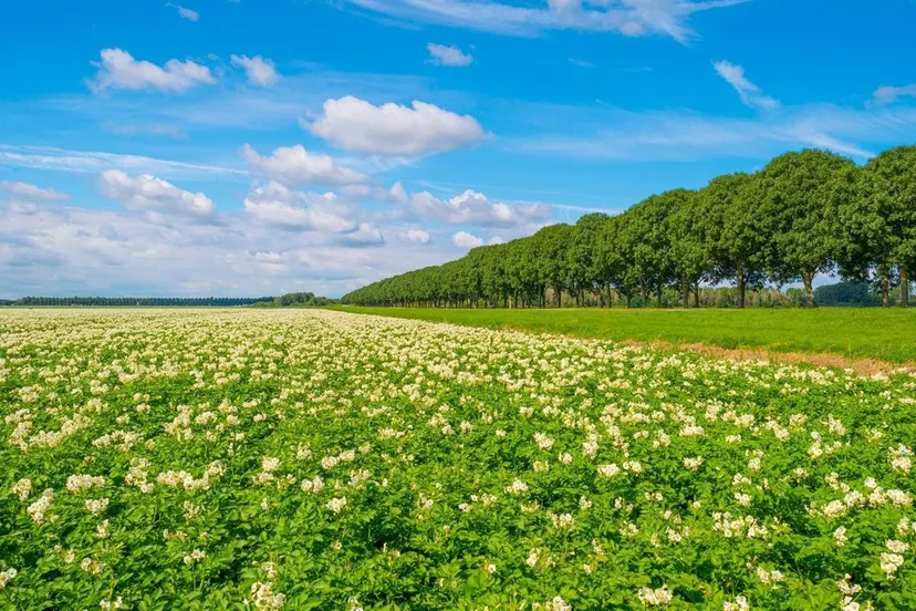 luchtmeetnet flevoland gem lelystad