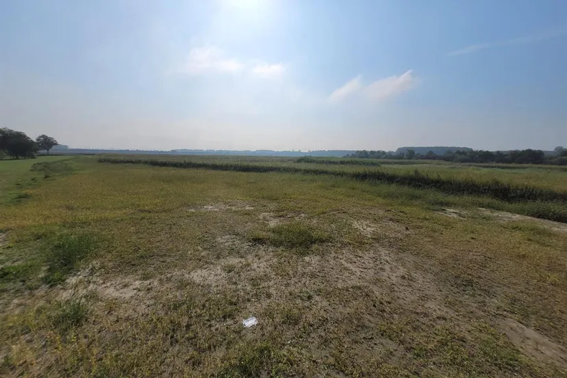 de elzen werkzaamheden gem lelystad