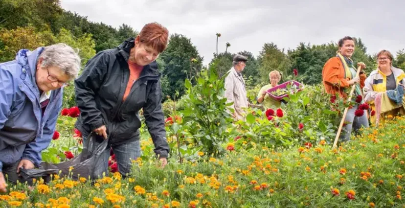 ondersteuningstraject 1 groene bondgenoten