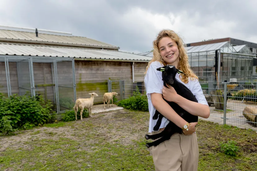 aeres vmbo lelystad aeres vmbo lelystad