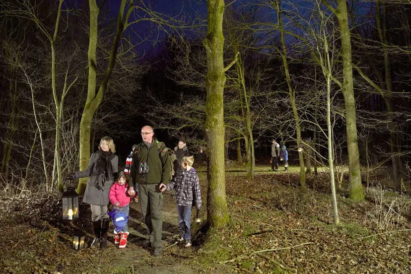 lichtjeswandeling publiek boswachter staatsbosbeheer