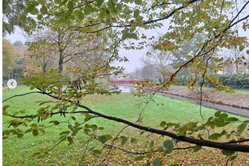 park lelystad 1 gem lelystad