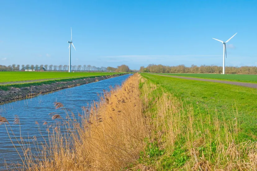 polder water met riet en windmolens prov flevoland