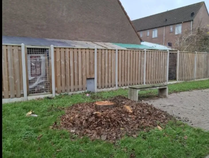 bomenkap waterwijk 1 knag