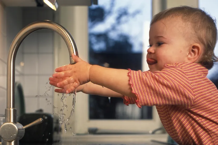 handen wassen prov flevoland