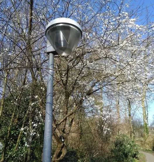 straatverlichting gem lelystad