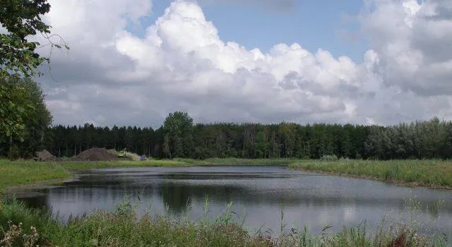 aangelegde slenk in zuidelijke deel hollandse hout boswachtersblog staatsbosbeheer