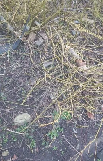 afval waterwijk speeltuin knag