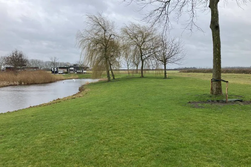 bomen bij elzenpark gem lelystad