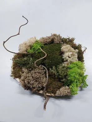 mosschilderij formaat m groei en bloei lelystad