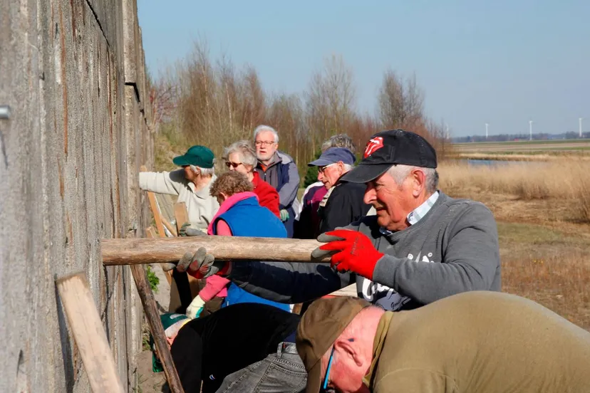 oeverzwaluwwand vullen landschapsbeheer flevoland