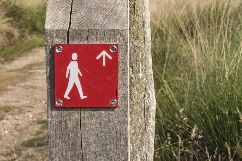 route wandelen picto rood staatsbosbeheer