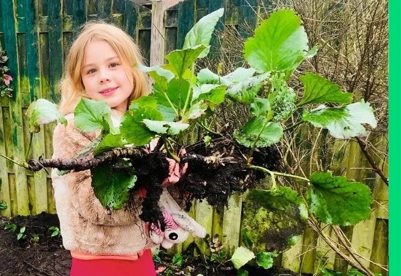 struikroven als voorbeeld stichting struikroven