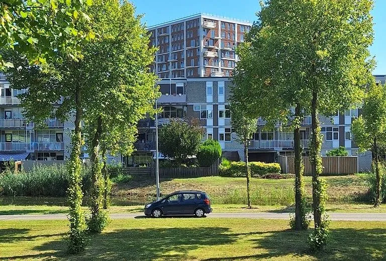 auto op dreef gem lelystad