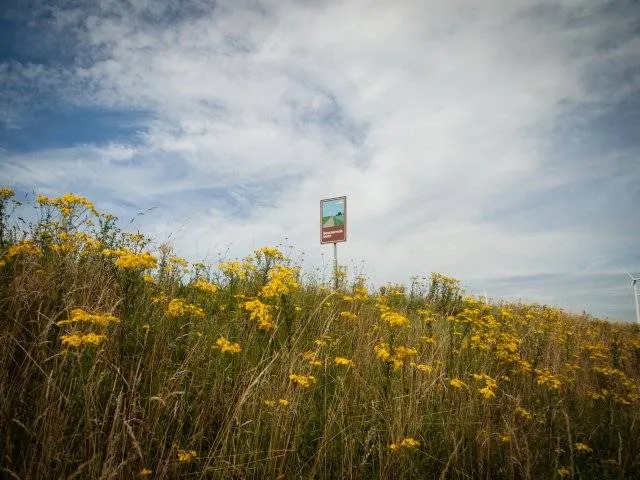 beschermde berm gem waalwijk