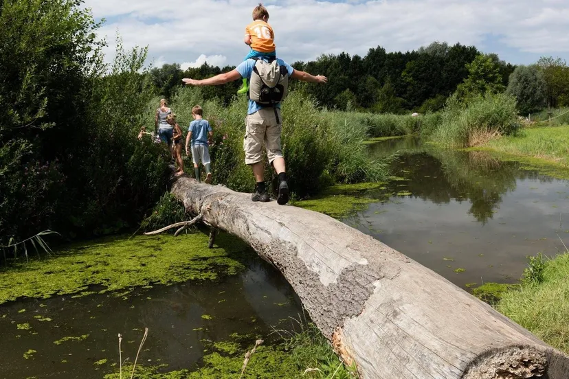 belevenissenbos1 prov flevoland