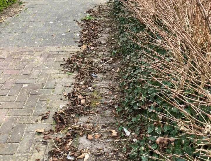 bosjes schoonmaken karveel vrijwilligers mooi karveel