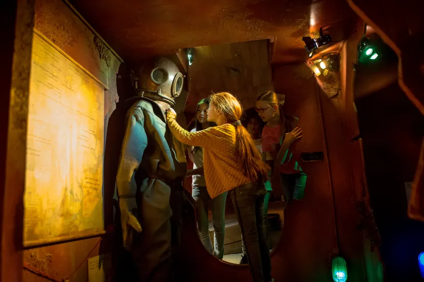 cultuur subsidie prov flevoland