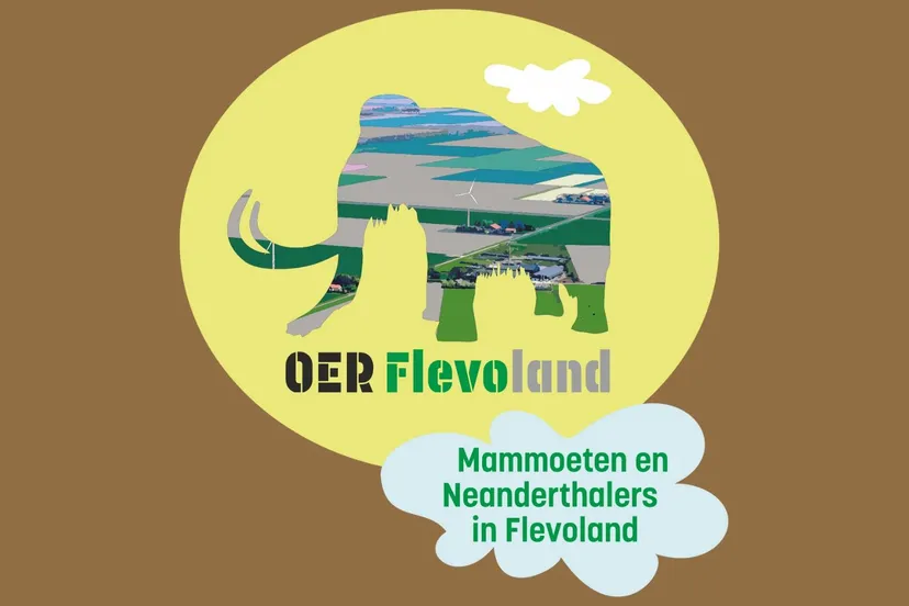 mammoeten en neaderthalers in flevoland prov flevoland