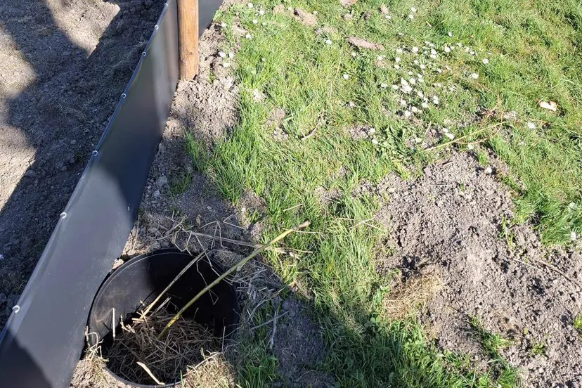 paddenscherm gem lelystad