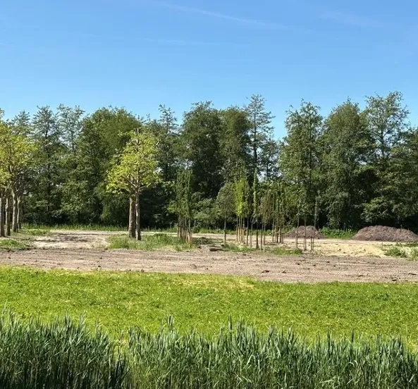 bomenbank christenunie instagram