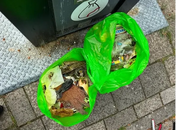 opruimactie partij voor de dieren lelystad partij voor de dieren lelystad instagram