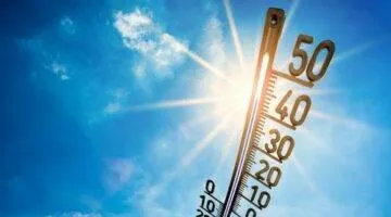 thermometer ggd flevoland